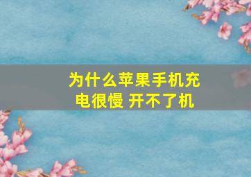 为什么苹果手机充电很慢 开不了机